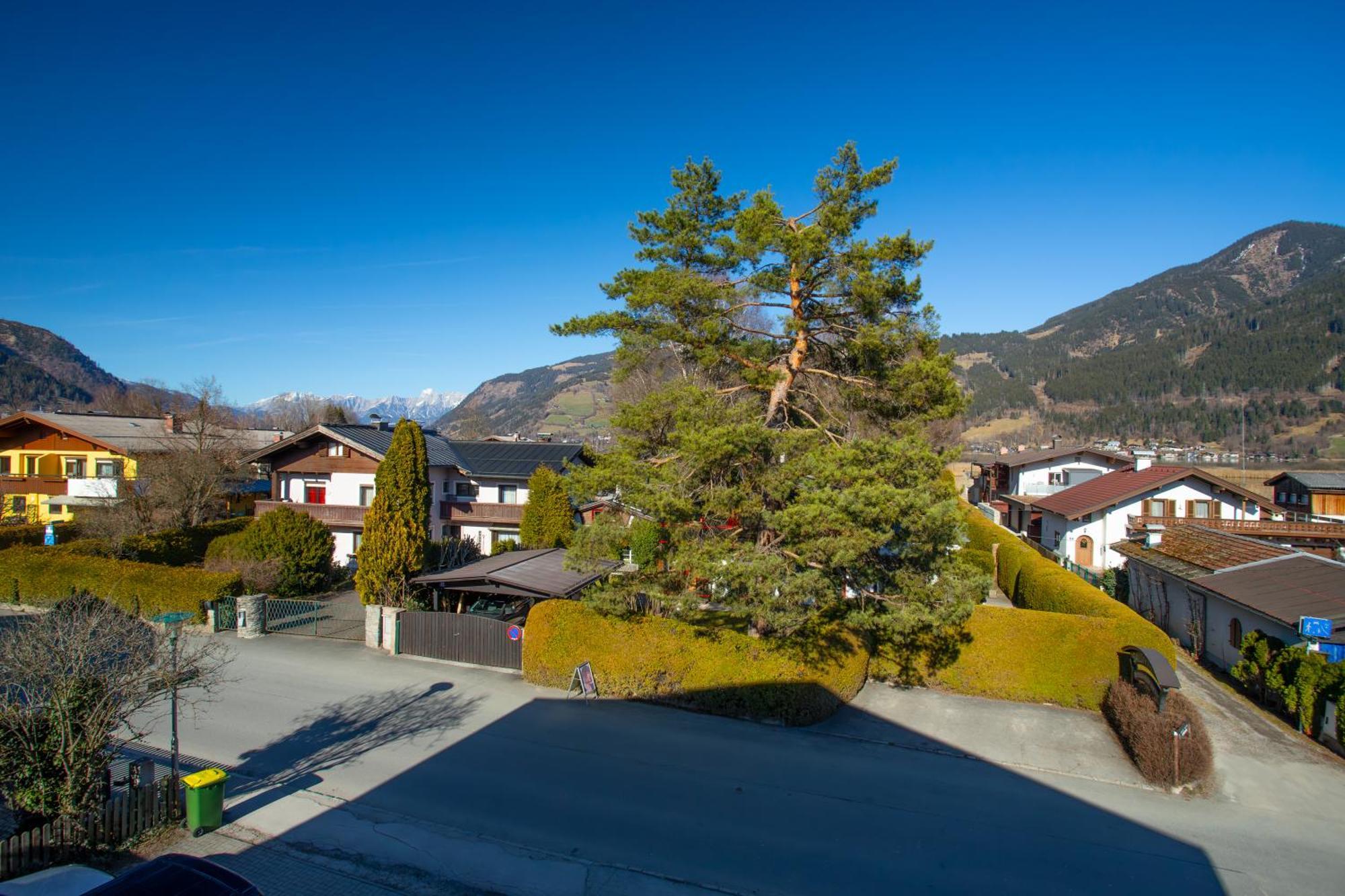 Alpina Apartments - Zell Am See Eksteriør bilde